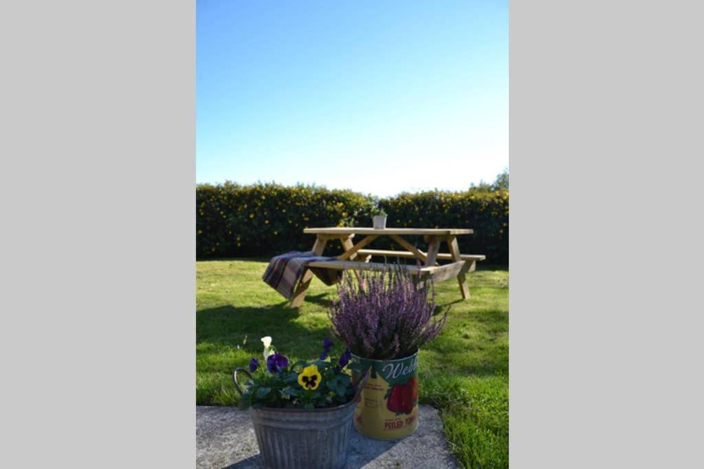 Cattle Shed Cottage Narberth Buitenkant foto